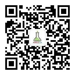 新加坡李家的坡|香港李家的城