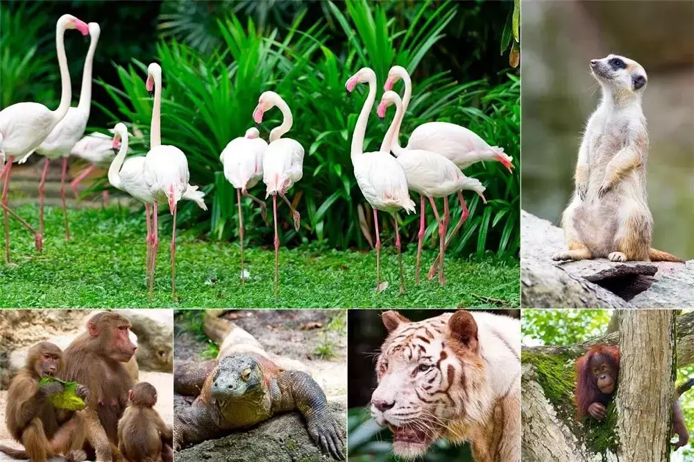 答應我，日後去新加坡旅行一定要打卡這10件事