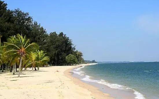 租房|新加坡最受欢迎的地区——马林百列