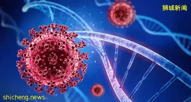 韩国失控!“共存”45天后紧急叫停!新加坡现24例奥密克戎,张文宏预测明年恢复正常生活