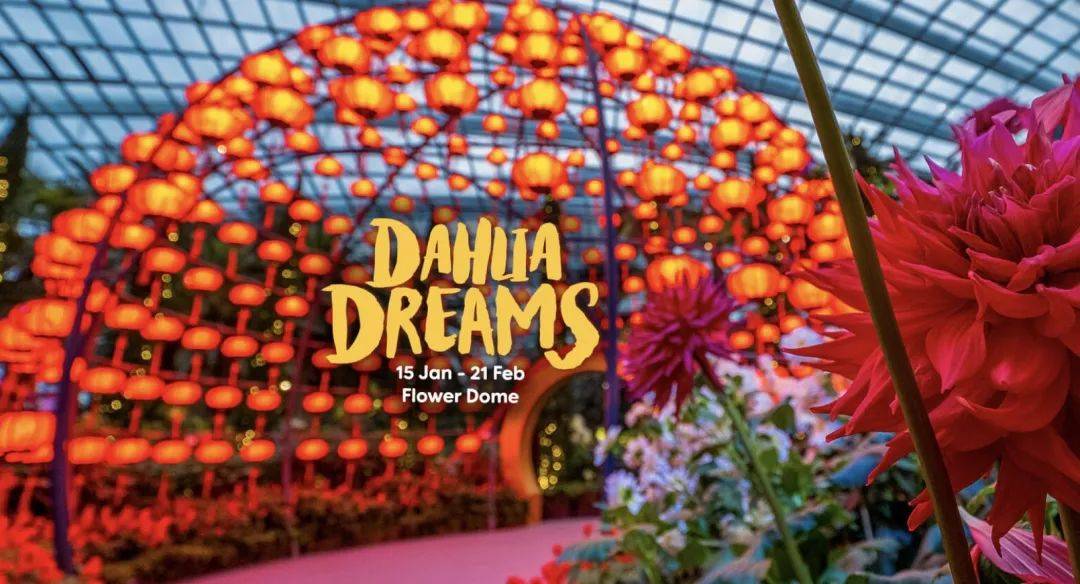 实拍!前晚,新加坡牛车水到处人从众𠈌!这9个地方过年还开门