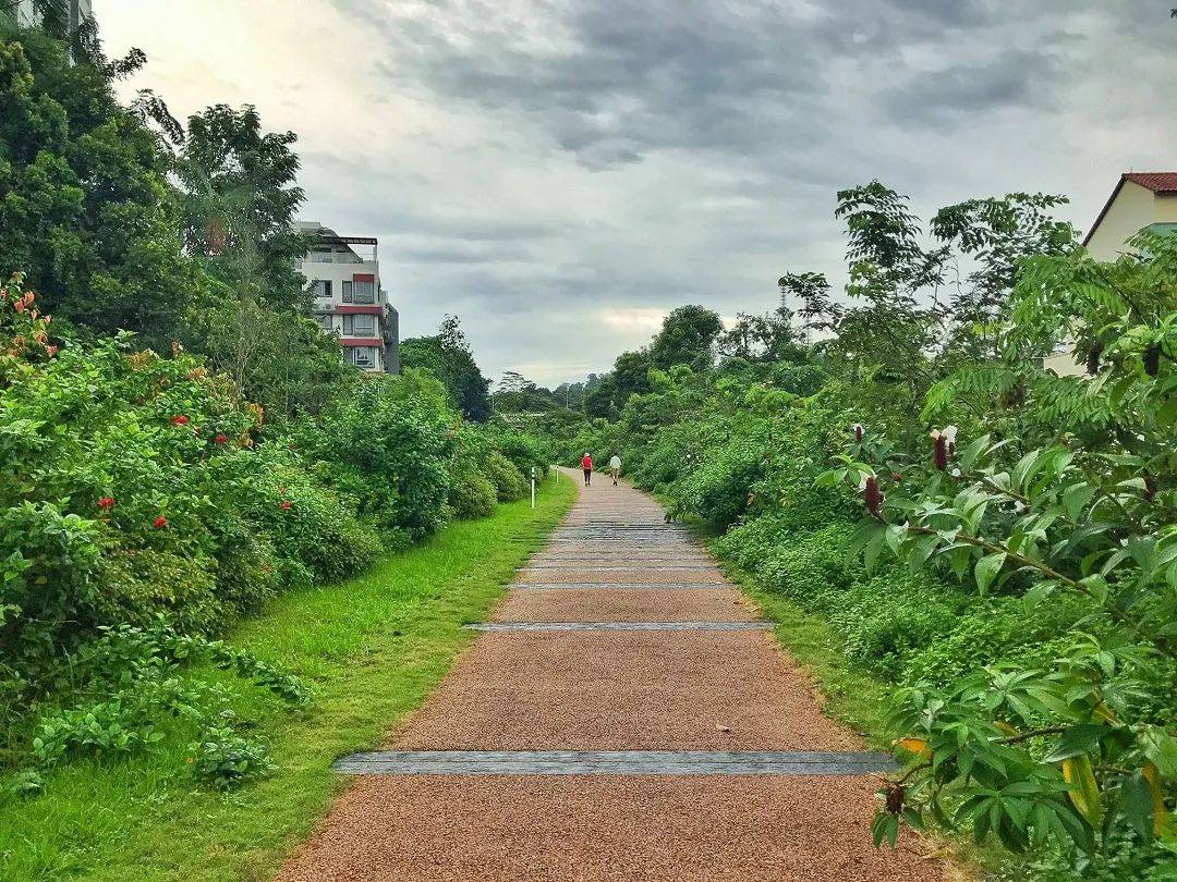 本周最熱打卡地