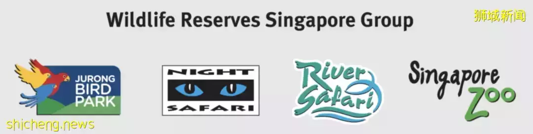 假期攻略 假期想好去哪儿了吗？新加坡四大动物园全攻略安排上