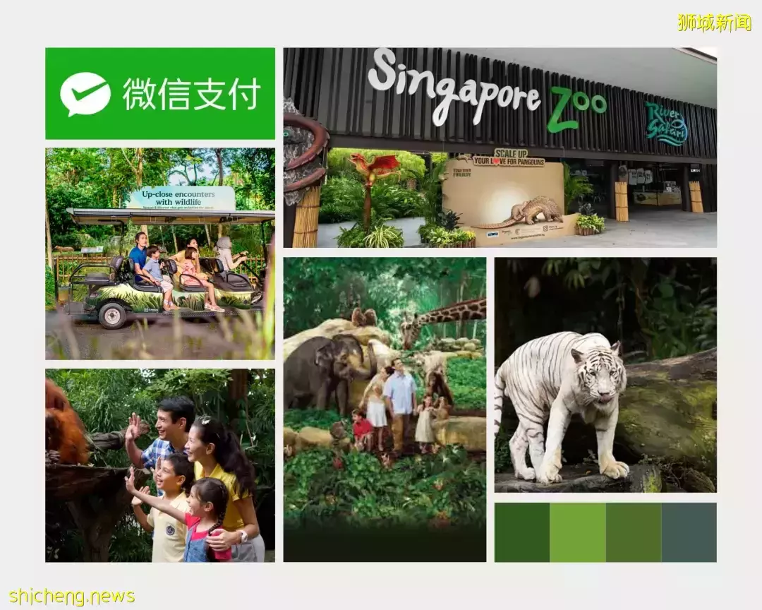 【周末去哪】超超超好逛的日本“宜家”!複活節下午茶!榴梿自助又回來啦