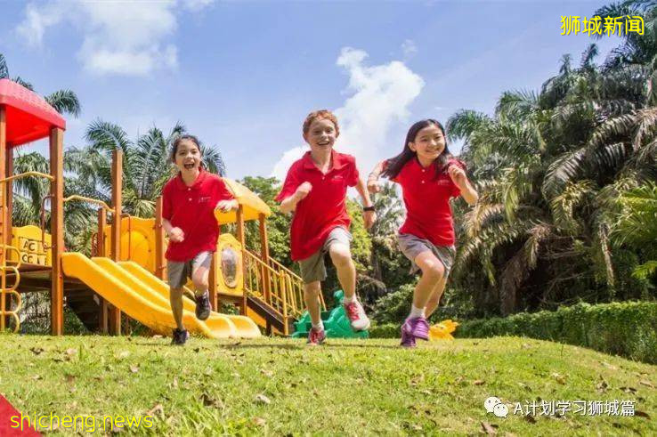 新加坡國際學校IB成績彙總（2021.5）