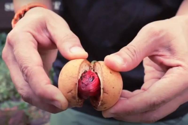 政府发的100新旅游券,在新加坡竟然能做这么多事