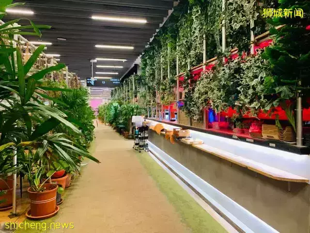 吃遍新加坡 第43期:藝術感十足的小資Café