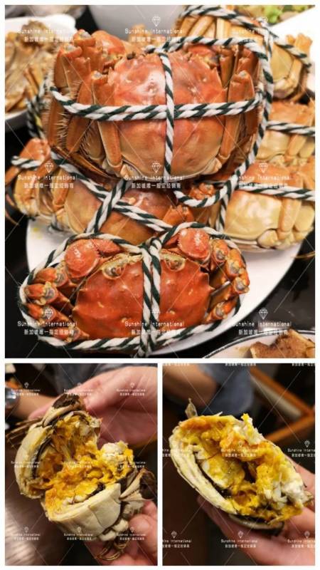 秋天來了 NTU的學生都在這裏領取了他們的陽澄湖大閘蟹