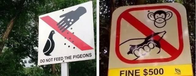 新加坡 一不小心,就犯法