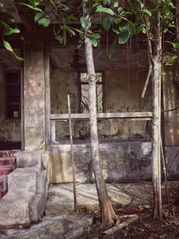 新加坡Coney Island废弃别墅,摇摇欲坠木桥小路,抓摸不清的寻访路线!🤨