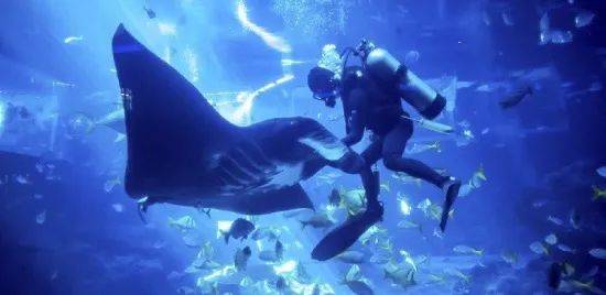 遛娃胜地新加坡!盘点那些让娃流连忘返的主题乐园