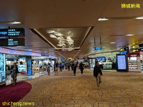 入境新加坡不需要隔離,你敢來嗎