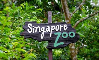 有什麽是到了新加坡才知道的? 有關新加坡的33個“小特點”