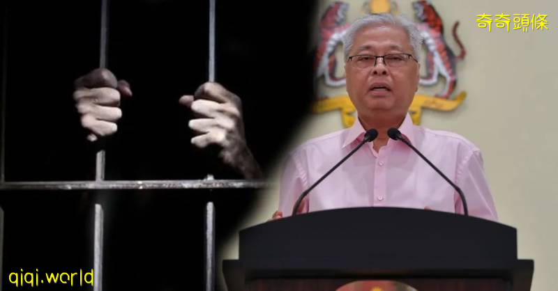 今增6例 放寬多國入境限制 無需檢測隔離 外籍學生可返馬!