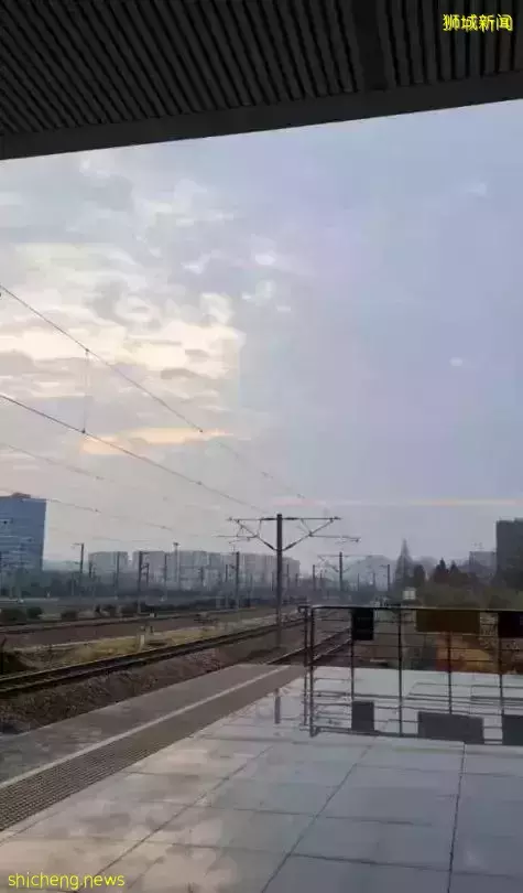 “这个春节,我终于从新加坡回到了中国”