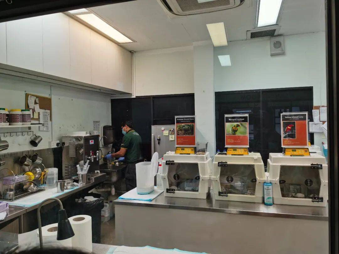 免費送票!帶倆娃嗨翻亞洲最大飛禽園,400多種5000多只鳥,一路驚喜不斷