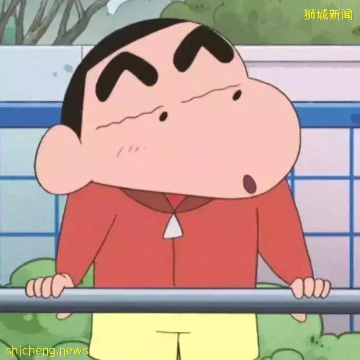 既能补贴学费还能留坡工作,竟有这等好事