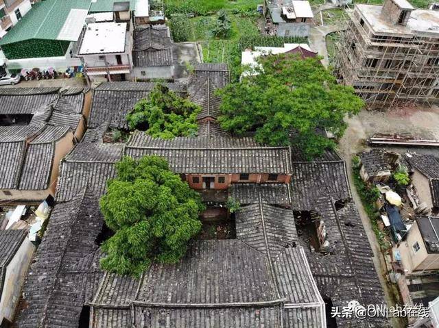 南安乐峰的新加坡国宝潘受,他的父亲竟是位“医神”