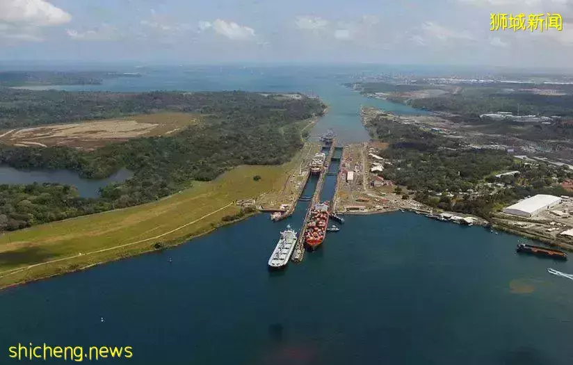 【述評】探討中醫藥在新加坡的發展現狀與未來趨勢