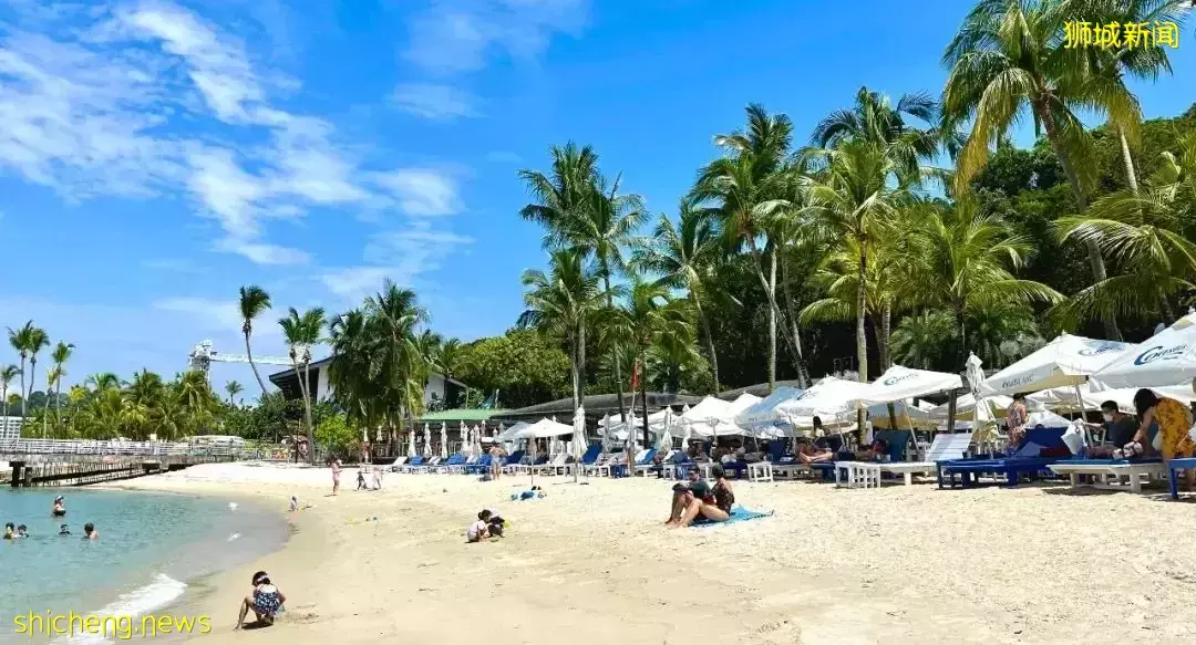 新加坡本地人推荐的15家沙滩餐厅!大海、蓝天、泳池,太美了