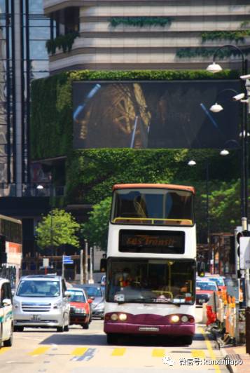 亮了！新加坡巴士“混入”香港，引行人纷纷抢拍
