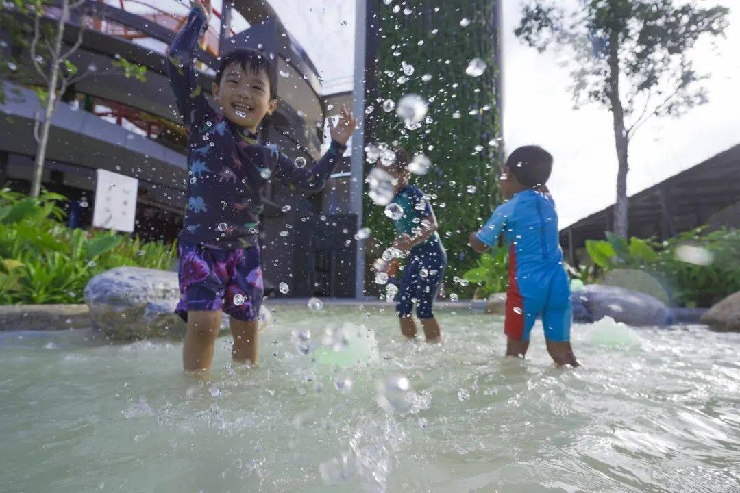 東海岸Big Splash水上樂園關閉四年,搖身一變成爲全新海岸樂園Coastal PlayGrove