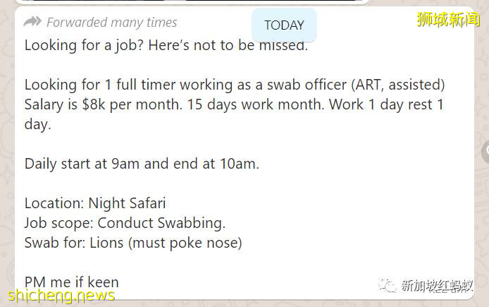 新加坡五頭獅子感染冠病“揚名海外”　各地爭相報道