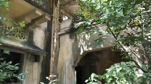 实拍！英国博主非法闯入新加坡“鬼屋”探险，却被网友力挺