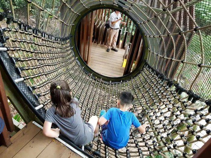 新加坡植物園3月最新兒童樂園,你肯定沒去過!16大遊玩攻略,走起
