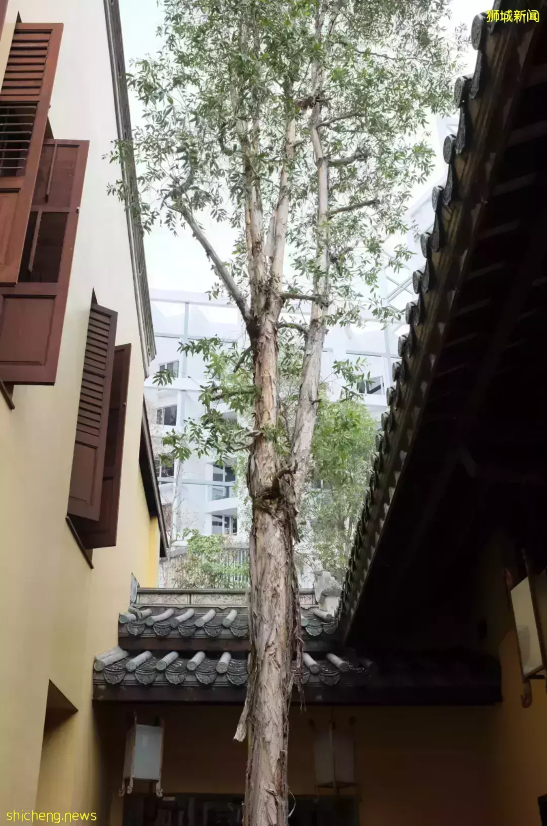 4年後，新加坡這棟“國家文物”終于賣出去了！買家是他