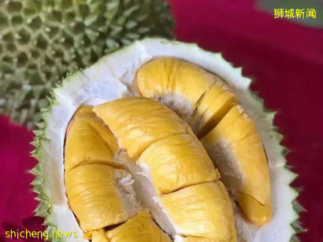 榴梿季到!泰國和馬來西亞的榴梿誰家的最好吃