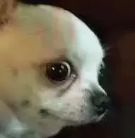 大型社死現場!我在新加坡相親,竟然遇到了中學老師