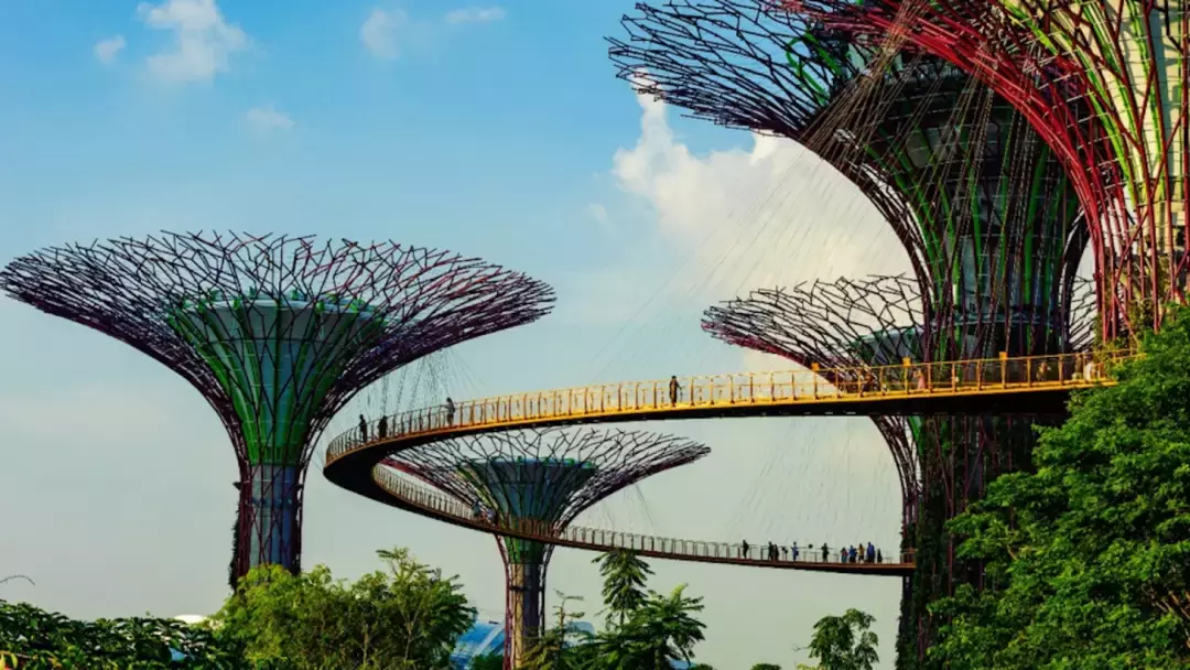 新加坡批准《區域全面經濟夥伴關系協定》