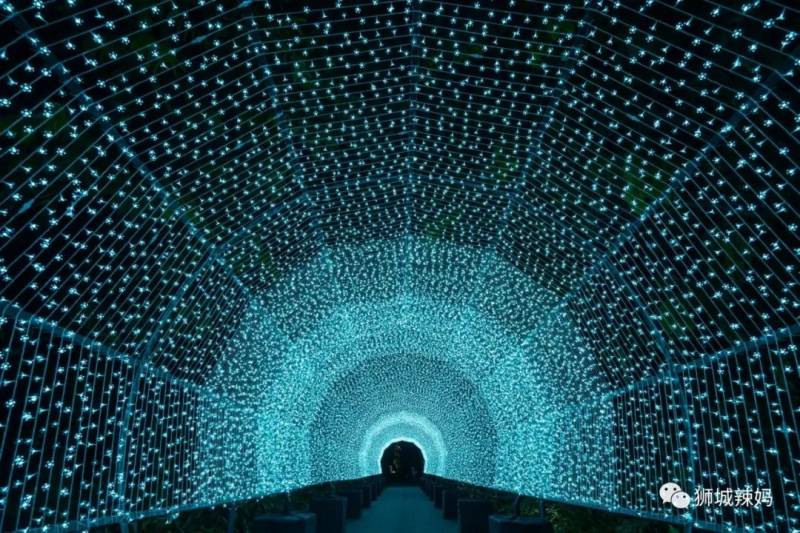 超美！新加坡9個絕佳聖誕打卡景點，隨手一拍都能贊爆朋友圈