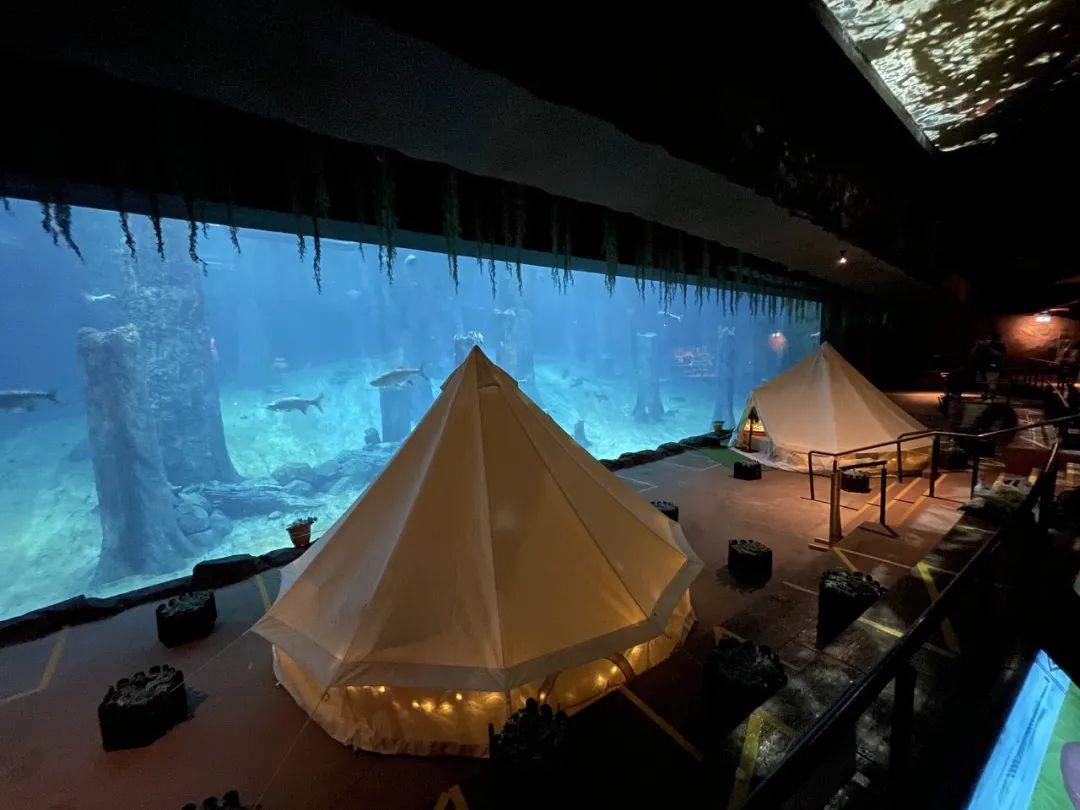 新加坡遛娃新去处!到河川生态园喂海牛,给孩子不一样的staycation