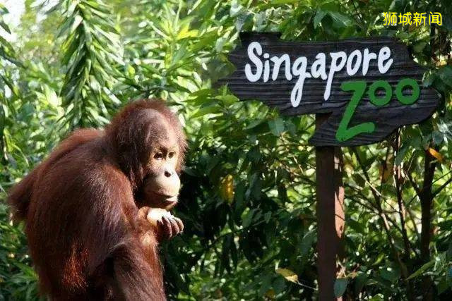 新加坡有哪些需要了解、注意的習俗