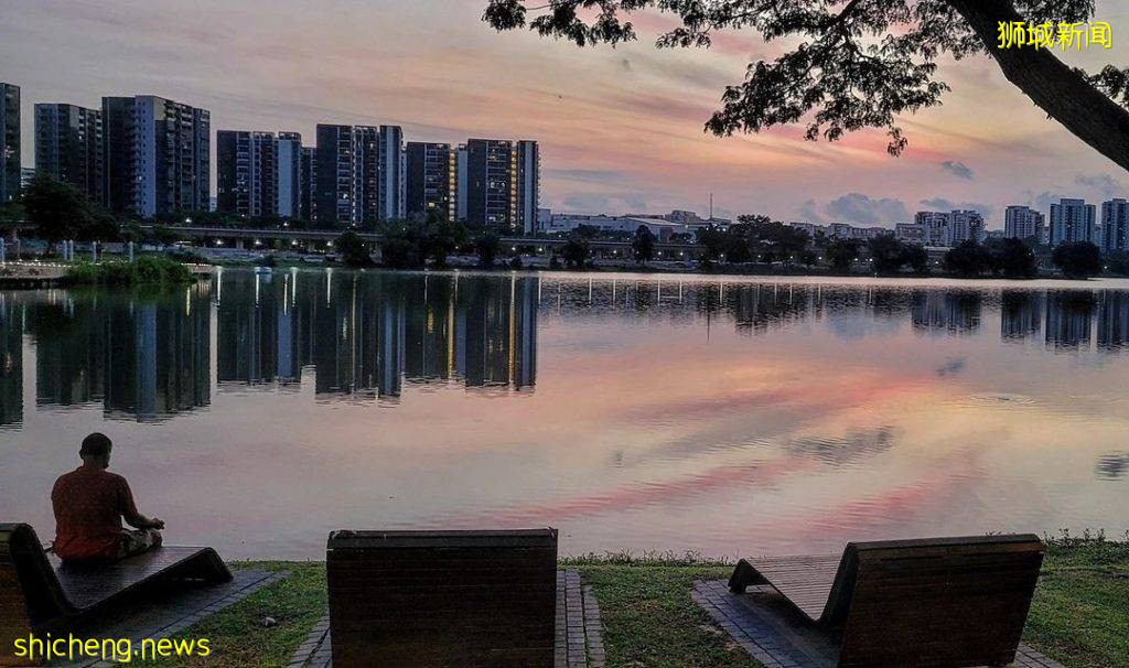 盘点新加坡7大湖泊美景✨静下心感受大自然风景、漂亮程度堪比国外