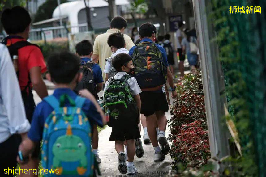 2022年最新 新加坡中小学和理工学院学费汇总