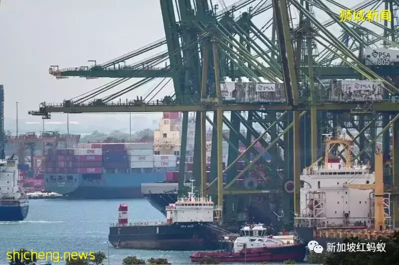 成本居高不下,涨价顾客又不满 新加坡廉价商品店进退两难