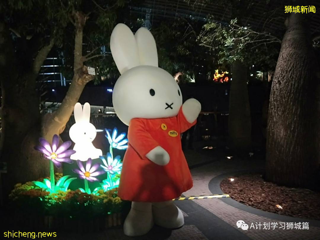 濱海灣花園中秋節燈飾，搶先看