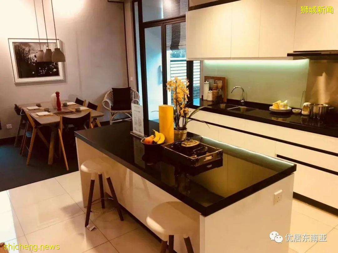 新加坡“神秘公司”淡馬錫，投資了輝瑞、元氣森林和Shopee