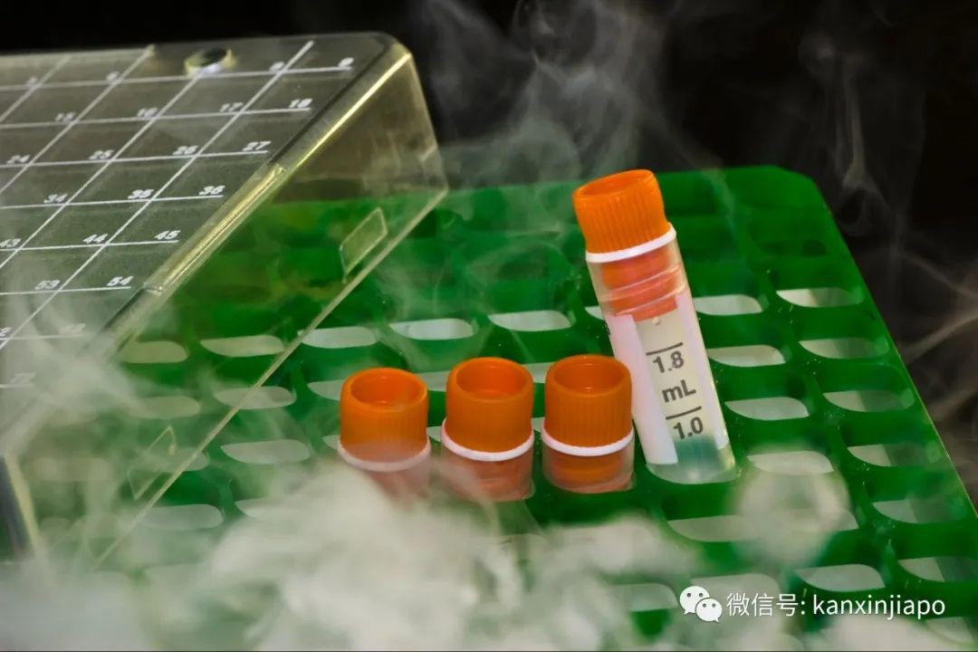 万众瞩目！新加坡买的首批疫苗昨晚抵达了！SQ7979好样滴~