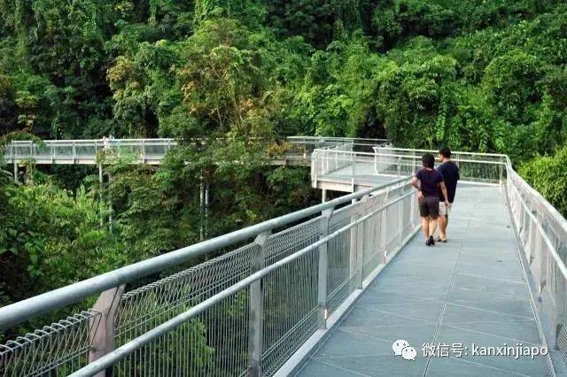 带你逛南部山脊徒步路线,别错过这7个自然景观