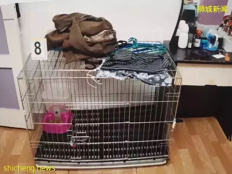 轟動全島的父母虐死5歲兒子案！最新進展