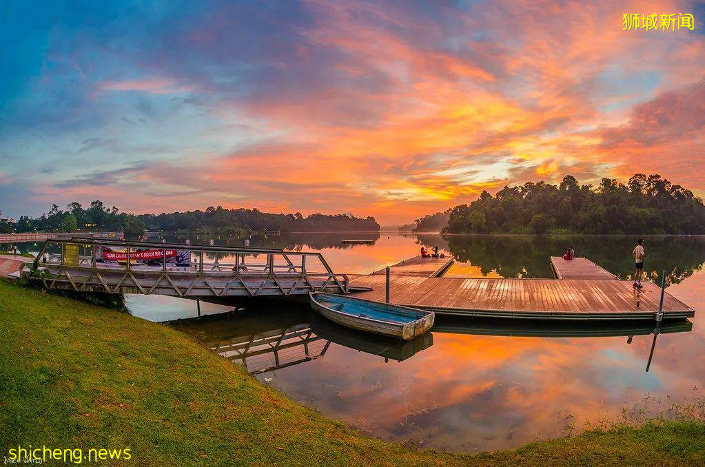 新加坡超火徒步路线!树梢吊桥、水映花树、长尾猴、松鼠、巨蜥,太美了
