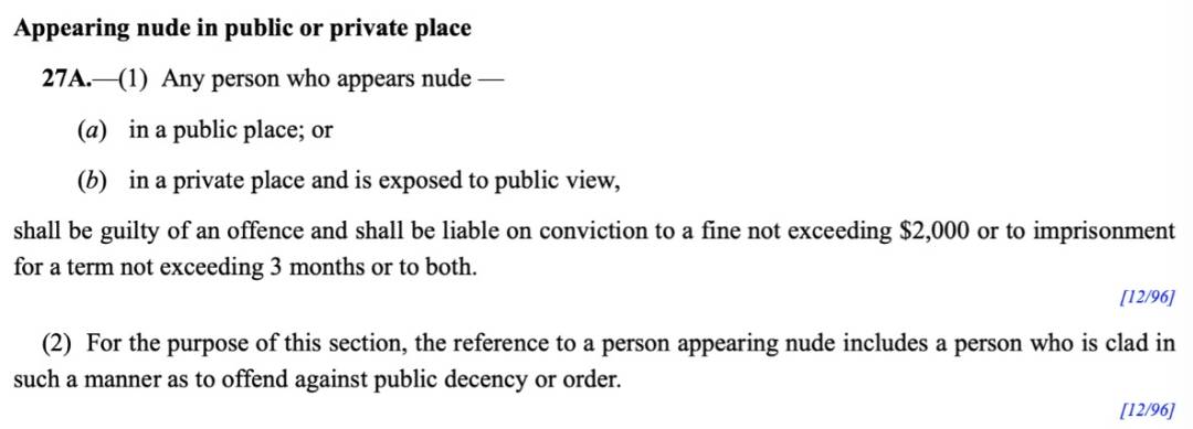 四人在新加坡餵野豬犯法,共被罰1萬新幣!這些罰款規定太多人踩雷