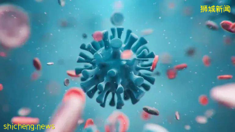 新加坡至少26人二次确诊新冠!研究: 康复后35天可再感染!她,长达一年没痊愈