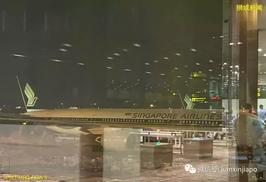 新加坡VTL突然喊停售票,疫情下出国游巴黎来之不易