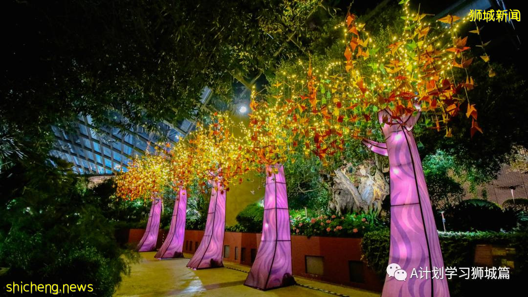 濱海灣花園中秋節燈飾，搶先看