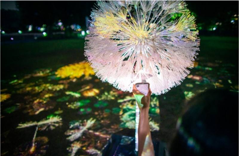 免费!赶紧来打卡滨海湾的梦幻蒲公英花园,感受超浪漫的日式风情!活动有效期至11月15日